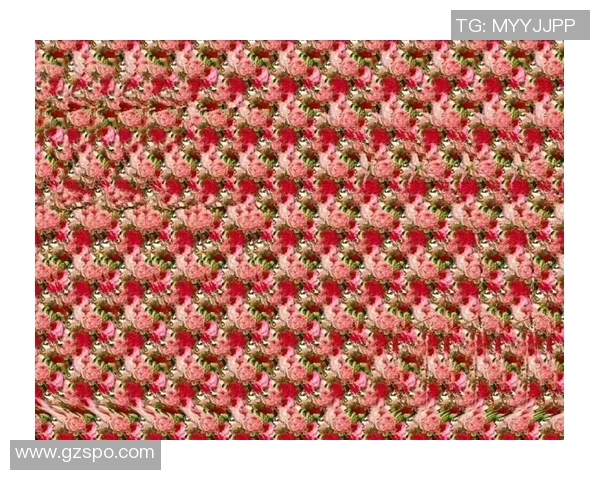 探索玉虚真人3D胆码的奥秘与技巧，助你赢得更多机会与乐趣